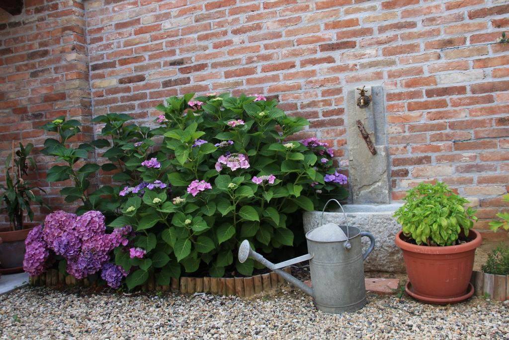 Antico Casale Mattei - Adult Only Bed and Breakfast Corneliano d'Alba Exteriör bild